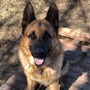 Meet your Posher, Drew